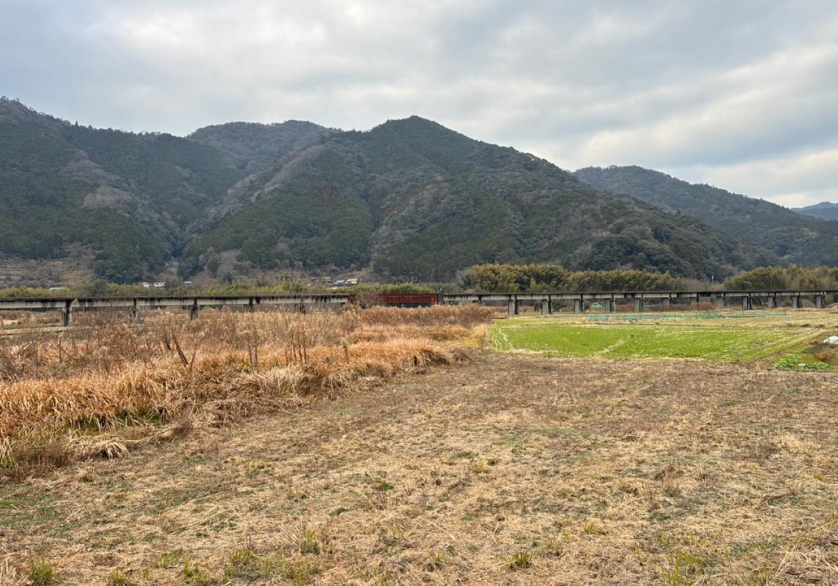 アイムユアーズ_コラム-06